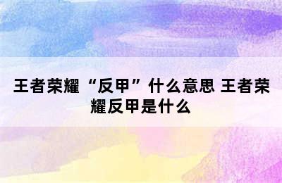 王者荣耀“反甲”什么意思 王者荣耀反甲是什么